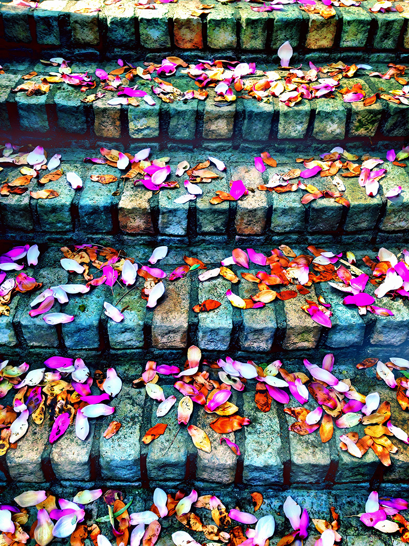 Petals to the Steps