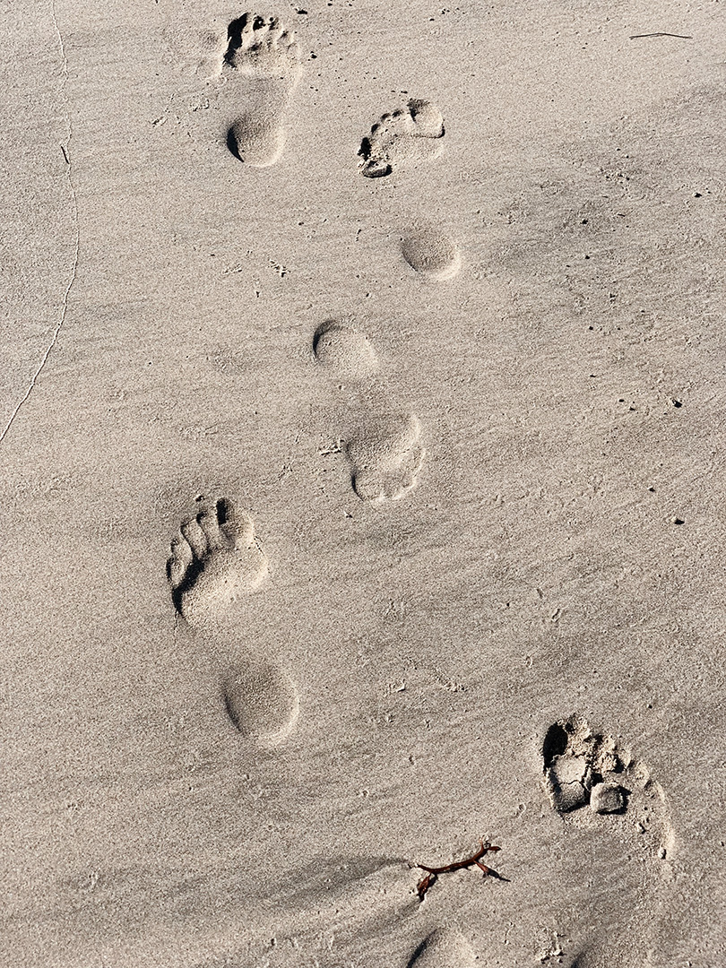 God's Footprints