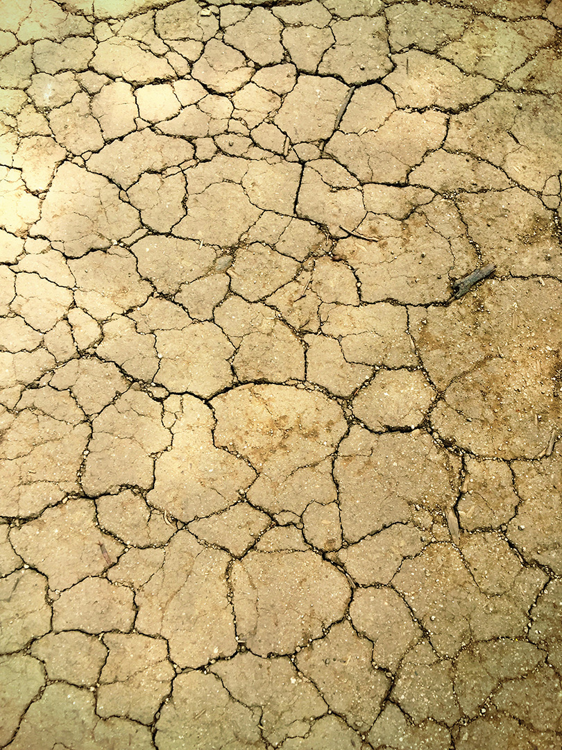 Parched Earth