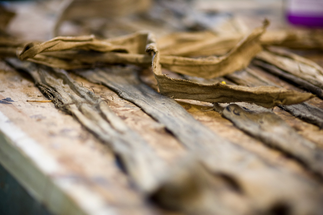 Tobacco on the Table