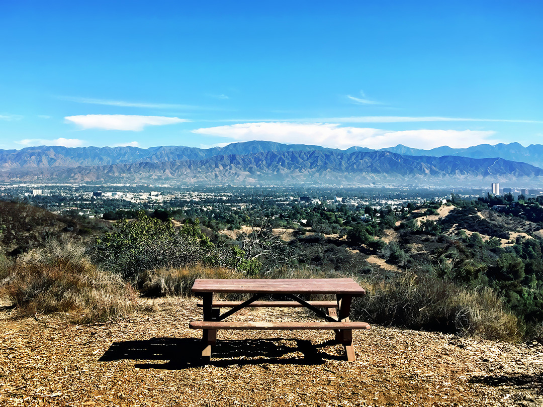 Picnic View